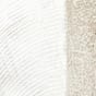 FO0299843-25