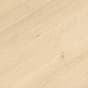 PO0277646-24