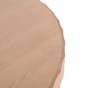 RI0295350-29