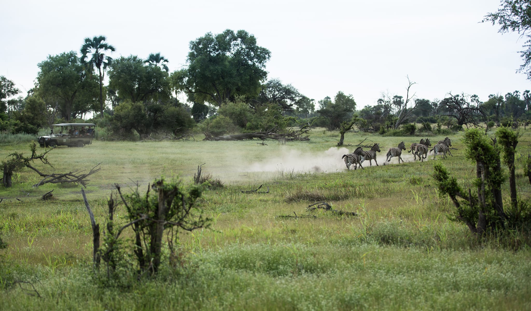 Gomoti Plains