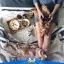 101 extra facebook page 10