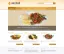 website collection website zerdali_01