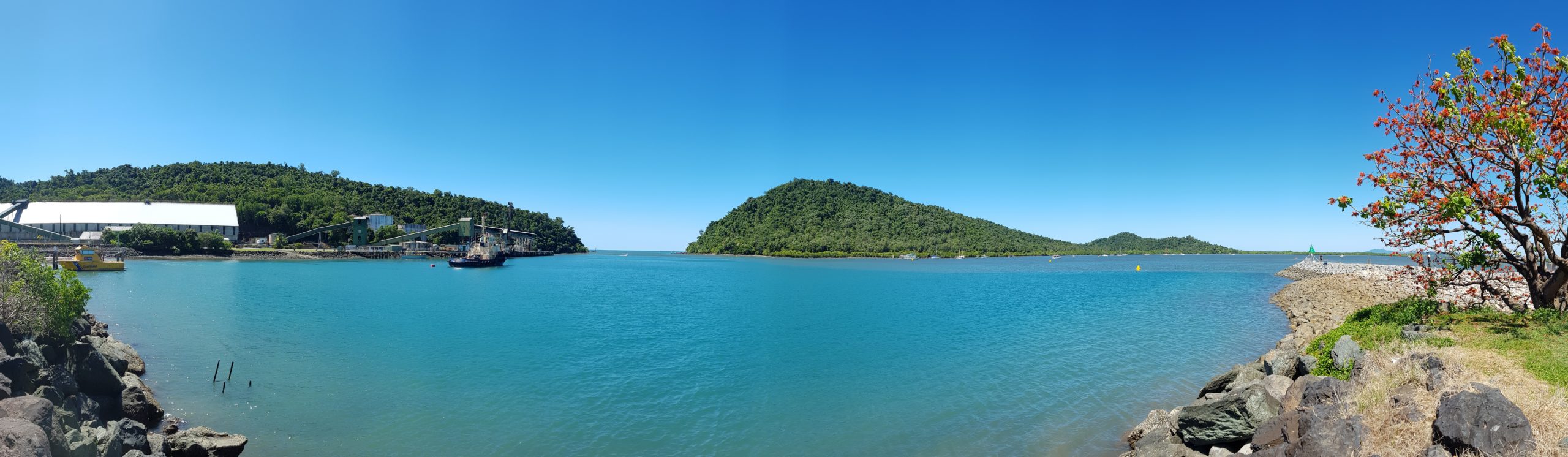 Seagrass Restoration, Mourilyan Harbour OzFish Unlimited