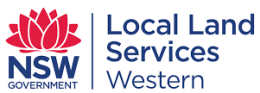  service agents