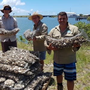 Central Moreton Bay Chapter