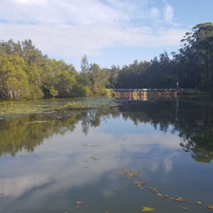 OzFish Richmond River Chapter