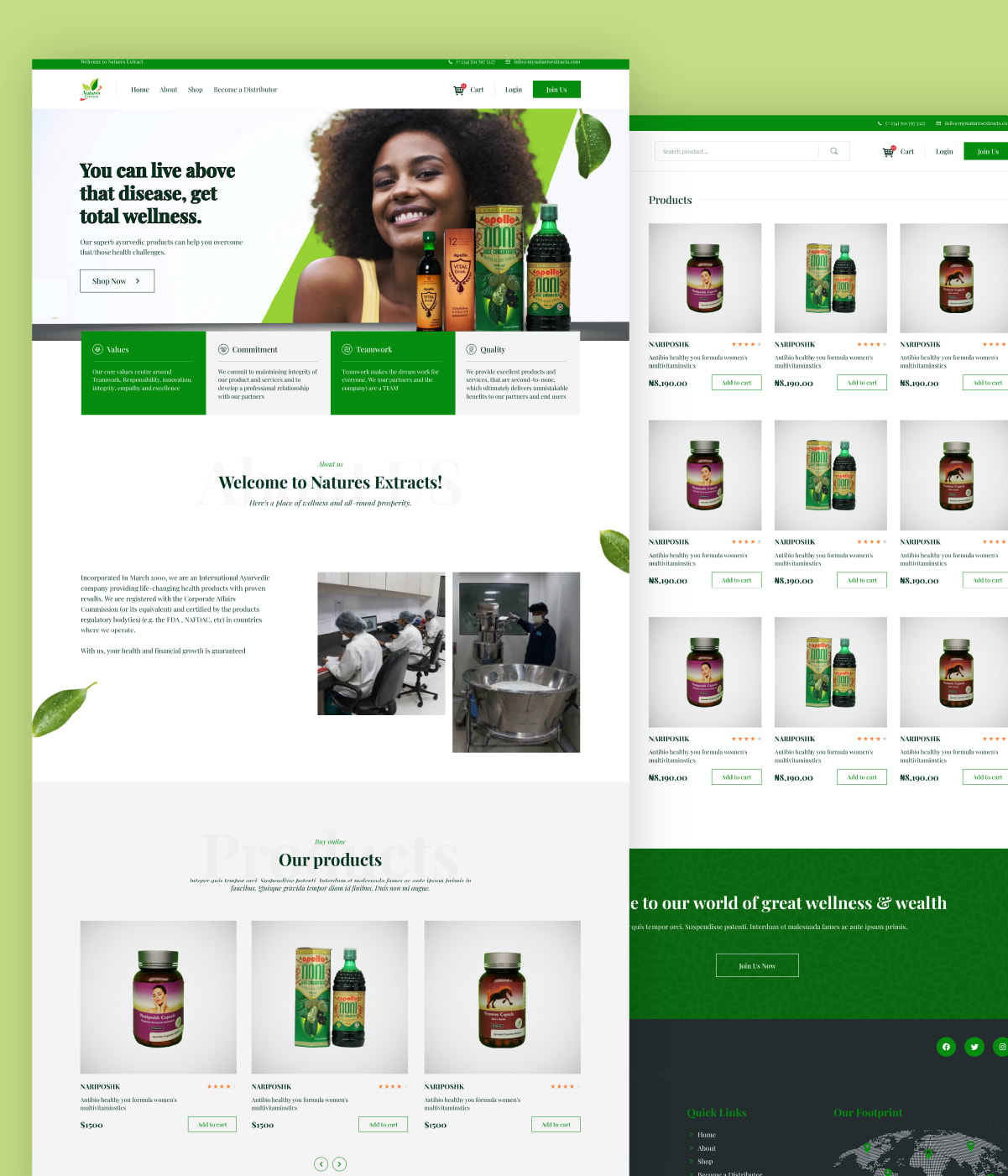 Nature Extracts Intl - Hybrid MLM software project preview