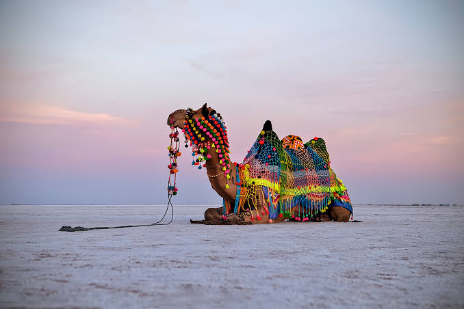 White Desert of India - Kutch