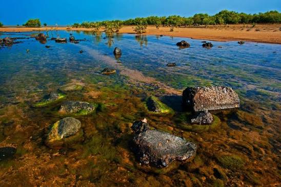 Marine National Park - Gujarat
