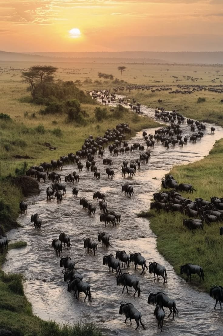 Lake Nakuru