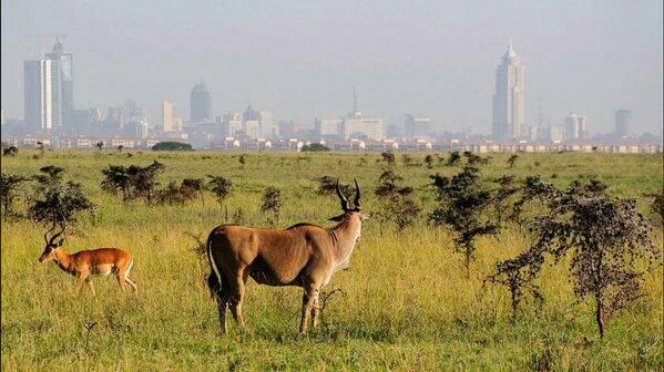 Nairobi Skyline Hotel Suite