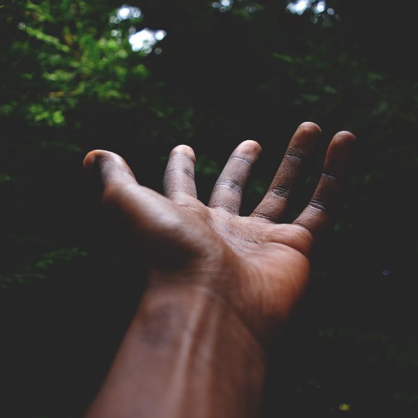 Five Fingers, Open Hand