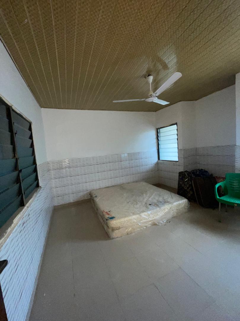 ALL IS VANITY HOMESTEL hostel photo 1