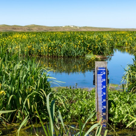 Samen de boer op voor duurzaam zoetwatergebruik Texelse landbouw