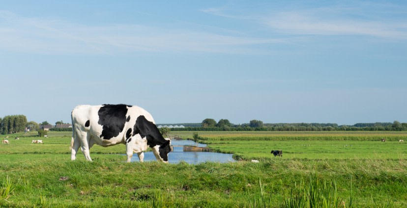 Waterschap Vallei en Veluwe voorbereiden op de Omgevingswet