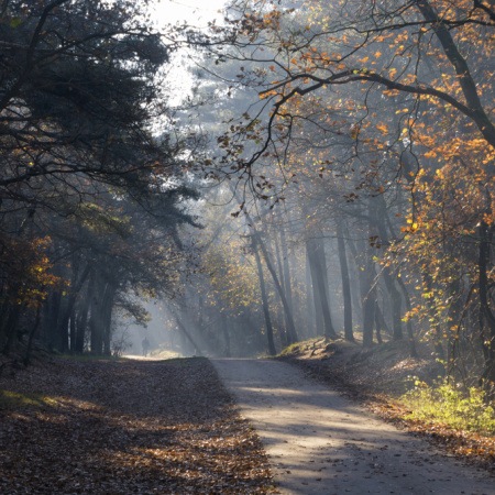 Samen zorgen voor doorontwikkeling en behoud van de Loonse en Drunense Duinen