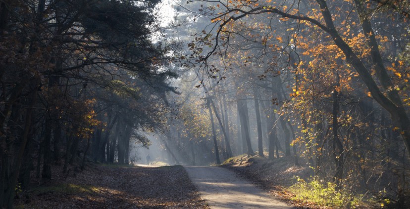 Samen zorgen voor doorontwikkeling en behoud van de Loonse en Drunense Duinen