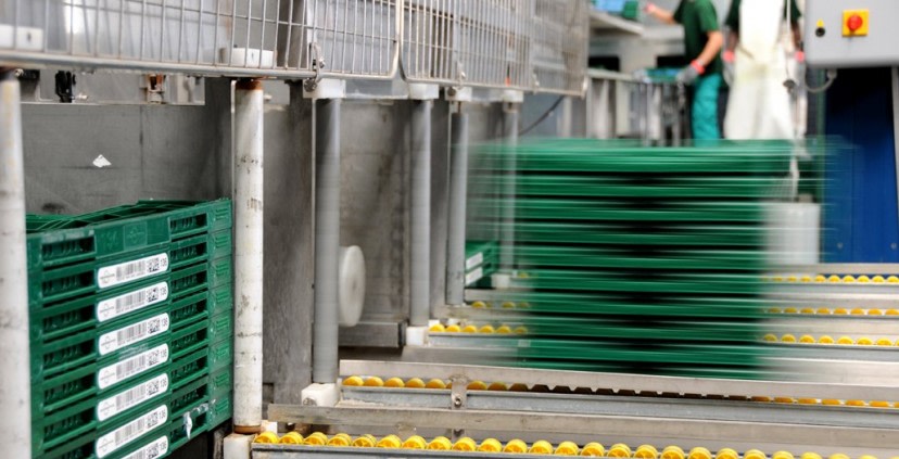 How to build a shared vision for a complex recycling project?