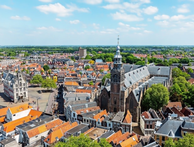 Gouda