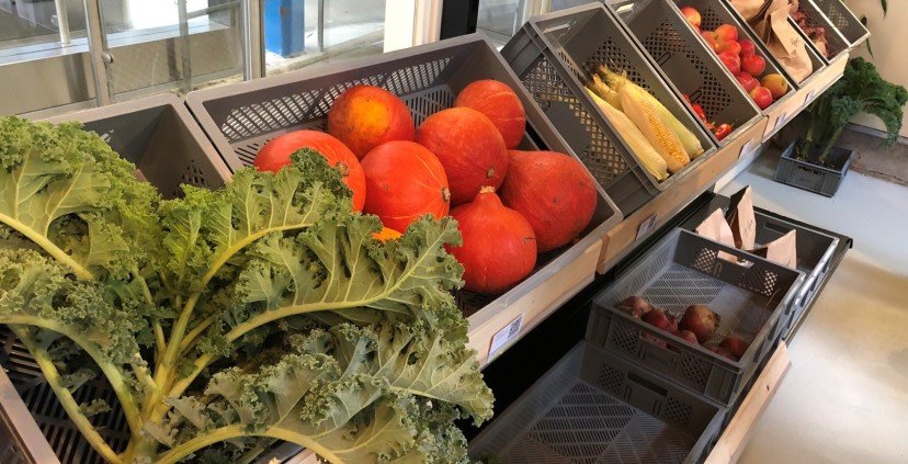 Pop-up foodstore als visitekaartje voor gezonde stationsomgeving