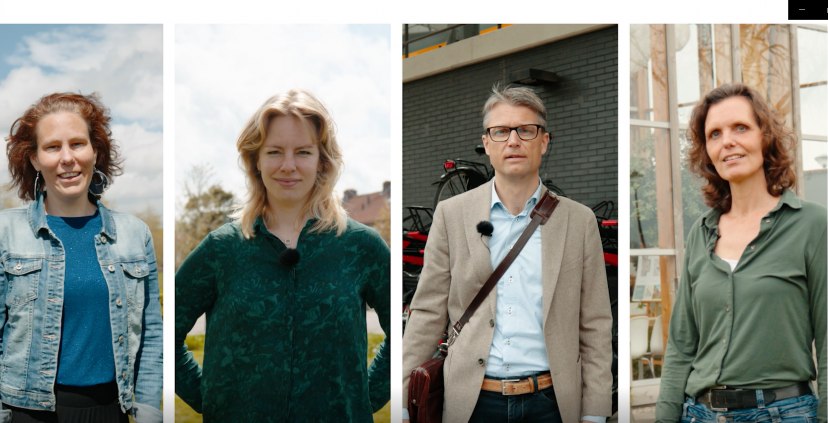 De kracht van het collectief