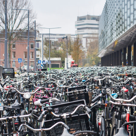 P2 verantwoordelijk voor programmamanagement Fietsparkeren Rotterdam