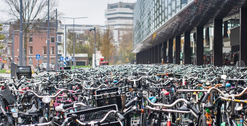 P2 verantwoordelijk voor programmamanagement Fietsparkeren Rotterdam