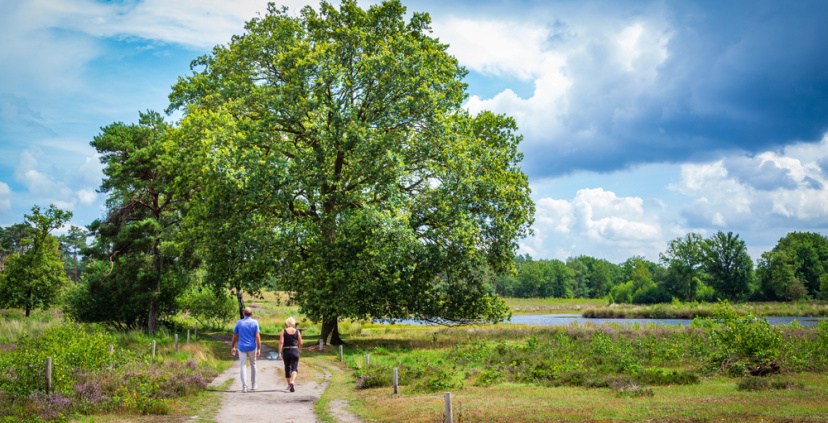 Gelders Programma Vitaal Landelijk Gebied
