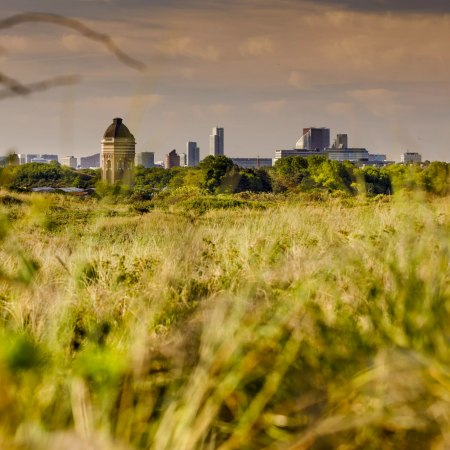 Samenwerken in het landelijk gebied: hoe pak je dat aan?