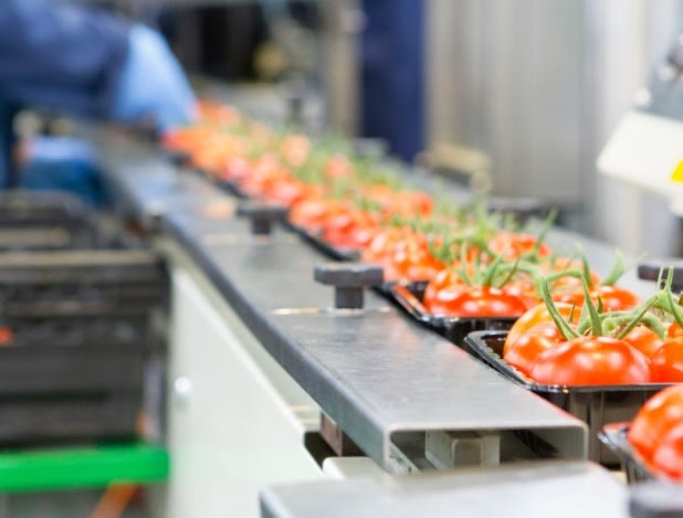 tomaten loopband aangepast