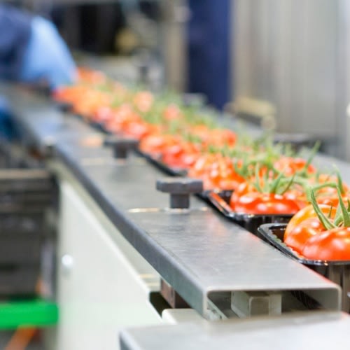 tomaten loopband aangepast