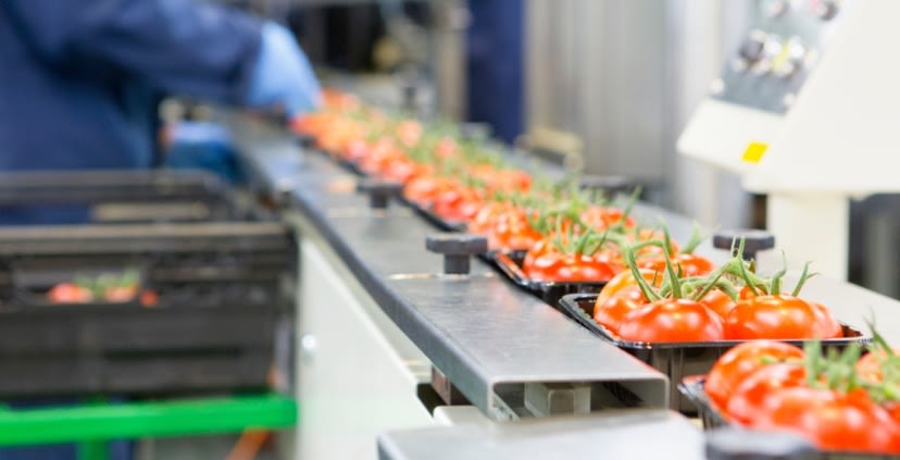 Verdiepingssessie 'meer realisatiekracht in foodprojecten'