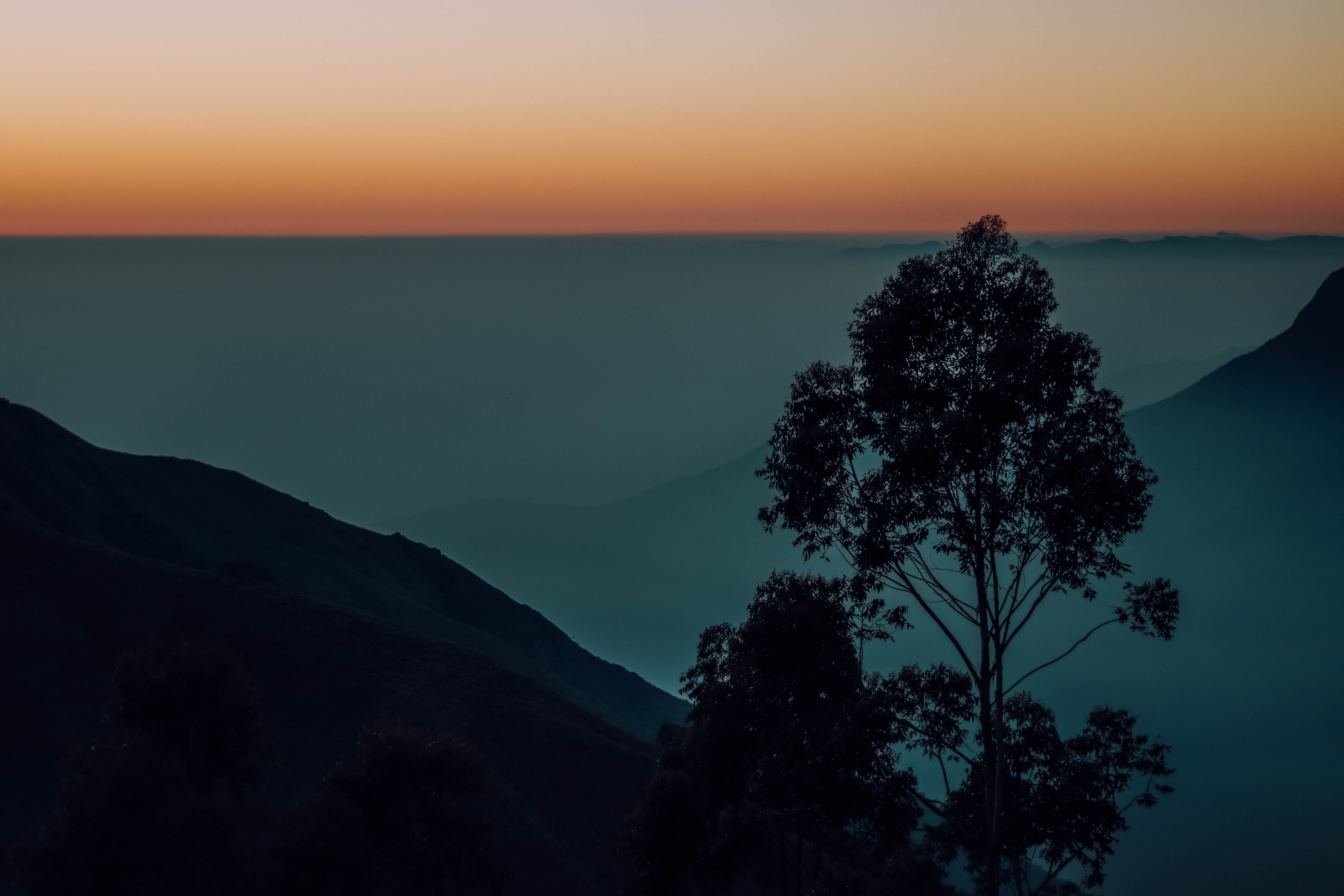 Munnar, Kerala. Travel, Tour, Trekking, Flights, Hotels Booking in Pikme.org