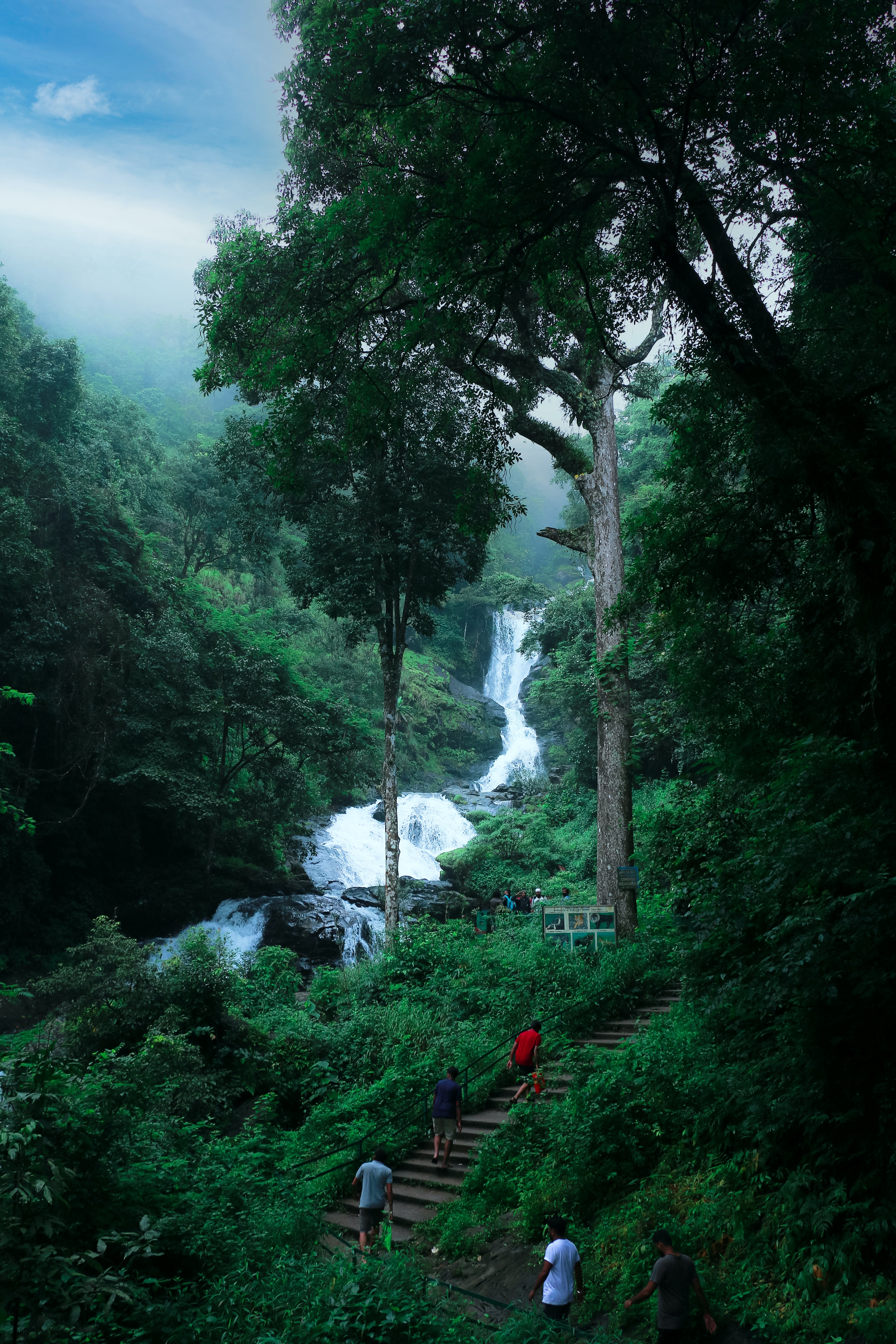 Iruppu Falls, Kodagu District, Karnataka. Trekking, Tours and Travel, Hotels, Flights booking in Pikme.org