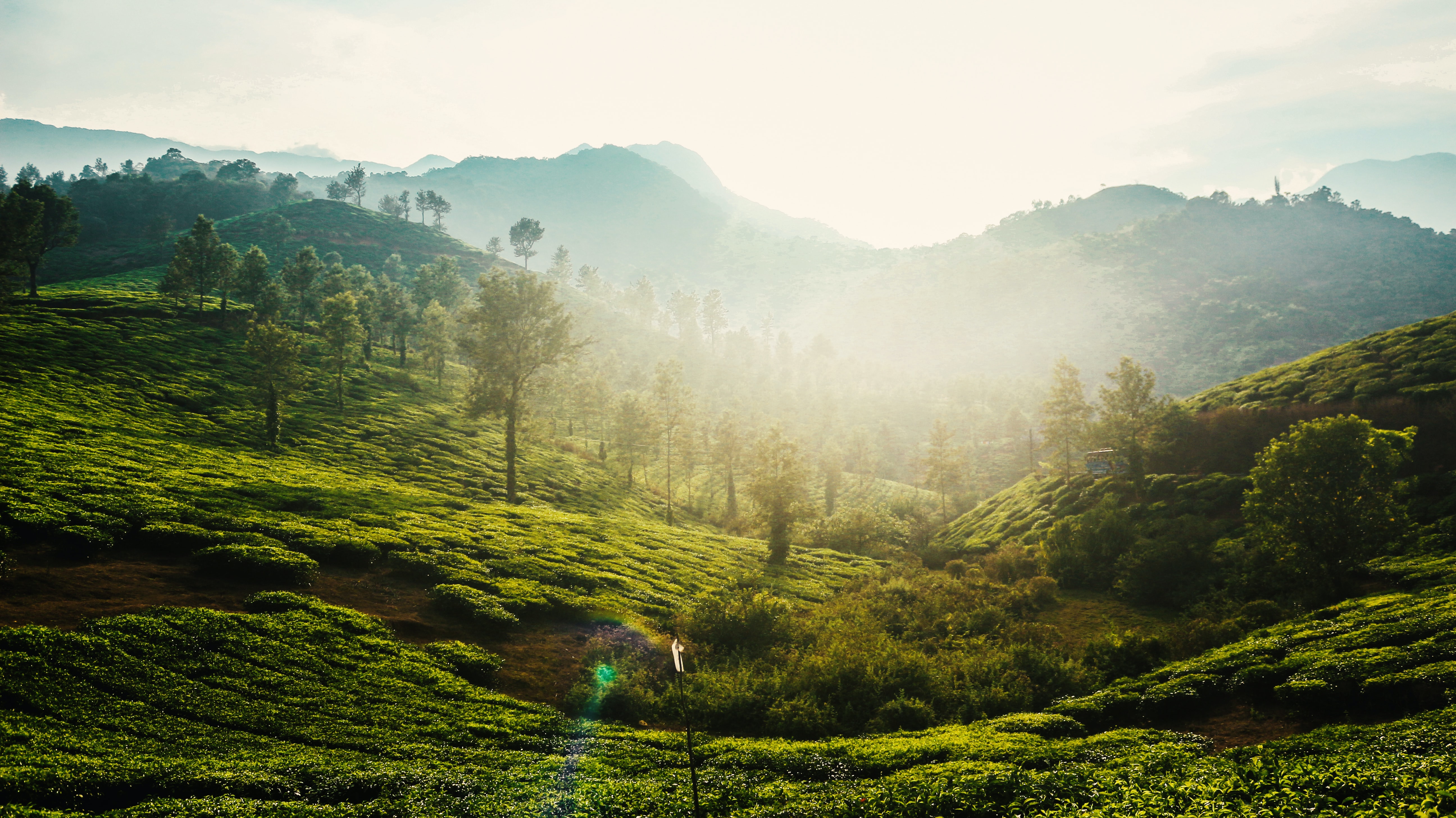 Soochippara Waterfalls, Wayanad District, Kerala. Trekking, Tours and Travel, Hotels, Flights booking in Pikme.org