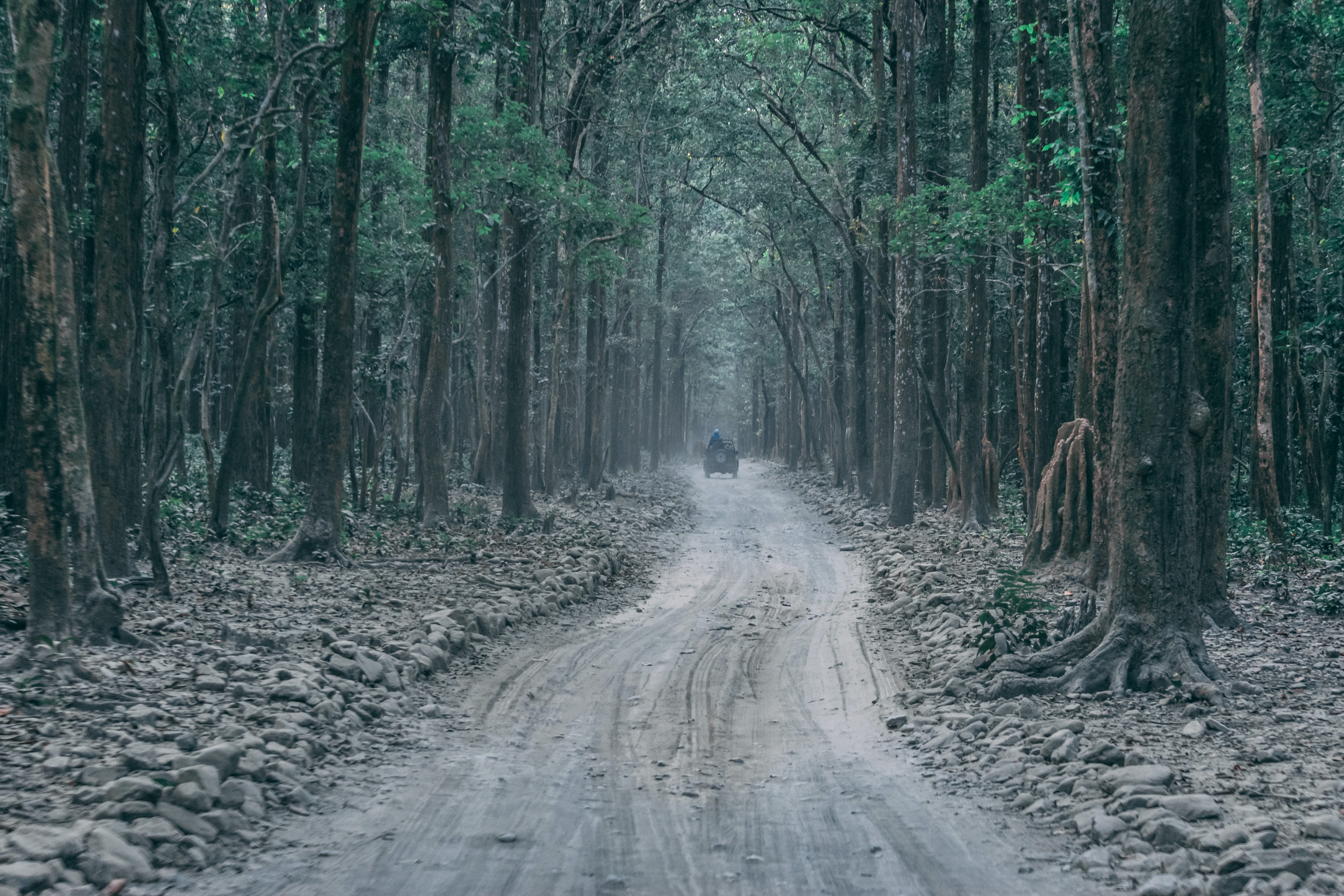 The Corbett National Park