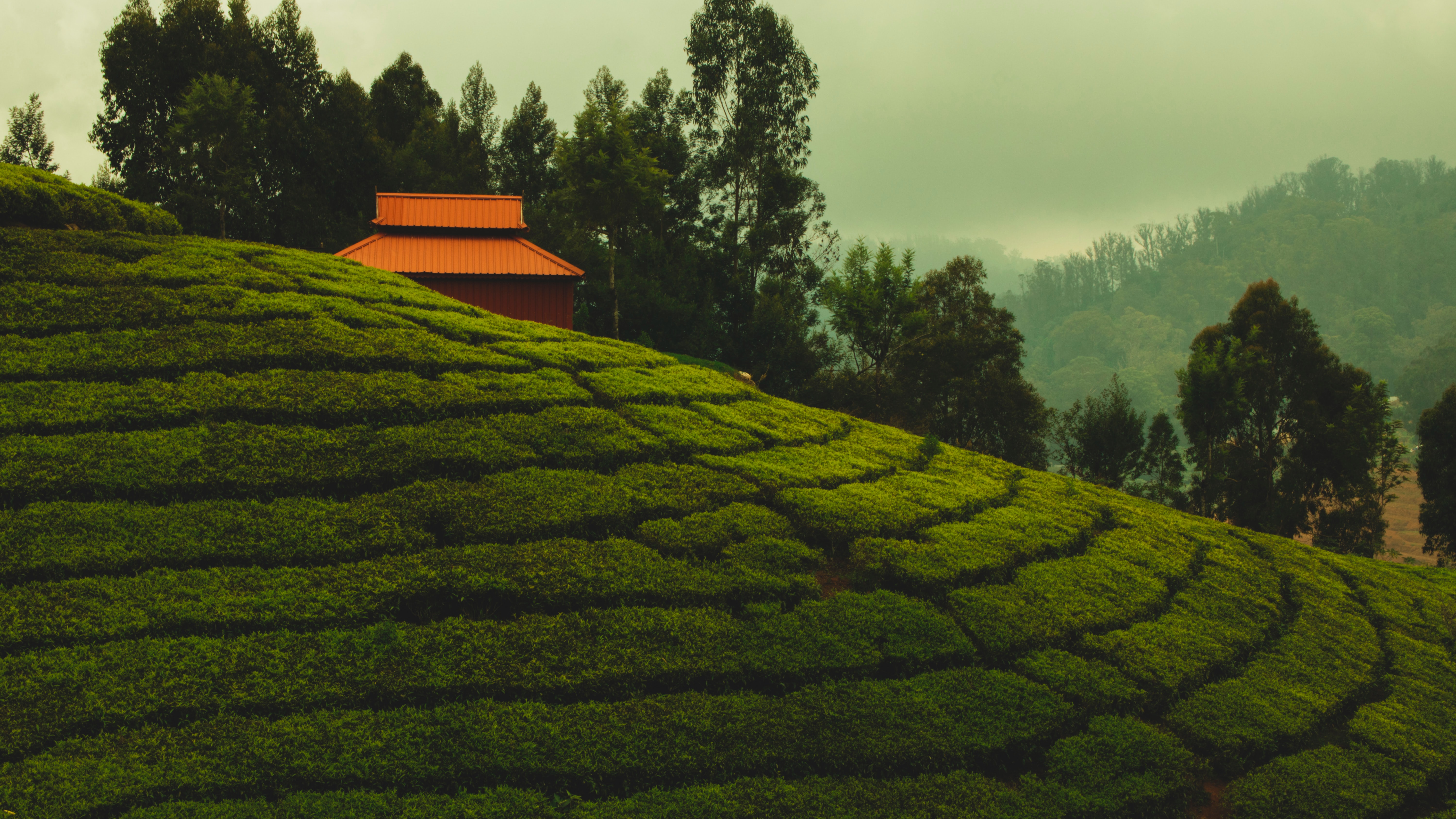 Ooty, Nilgiri Hills