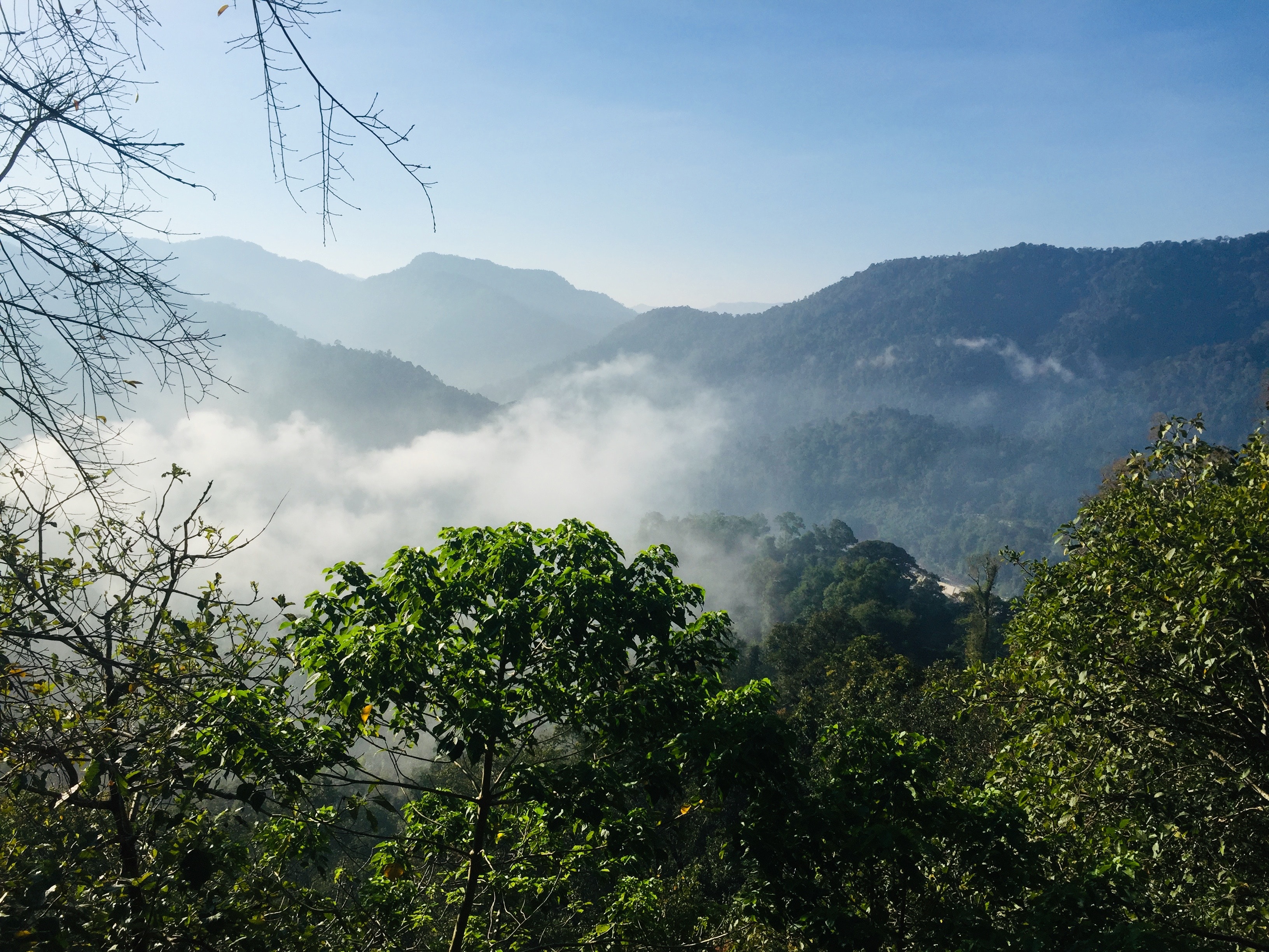 Hill Station Kerala