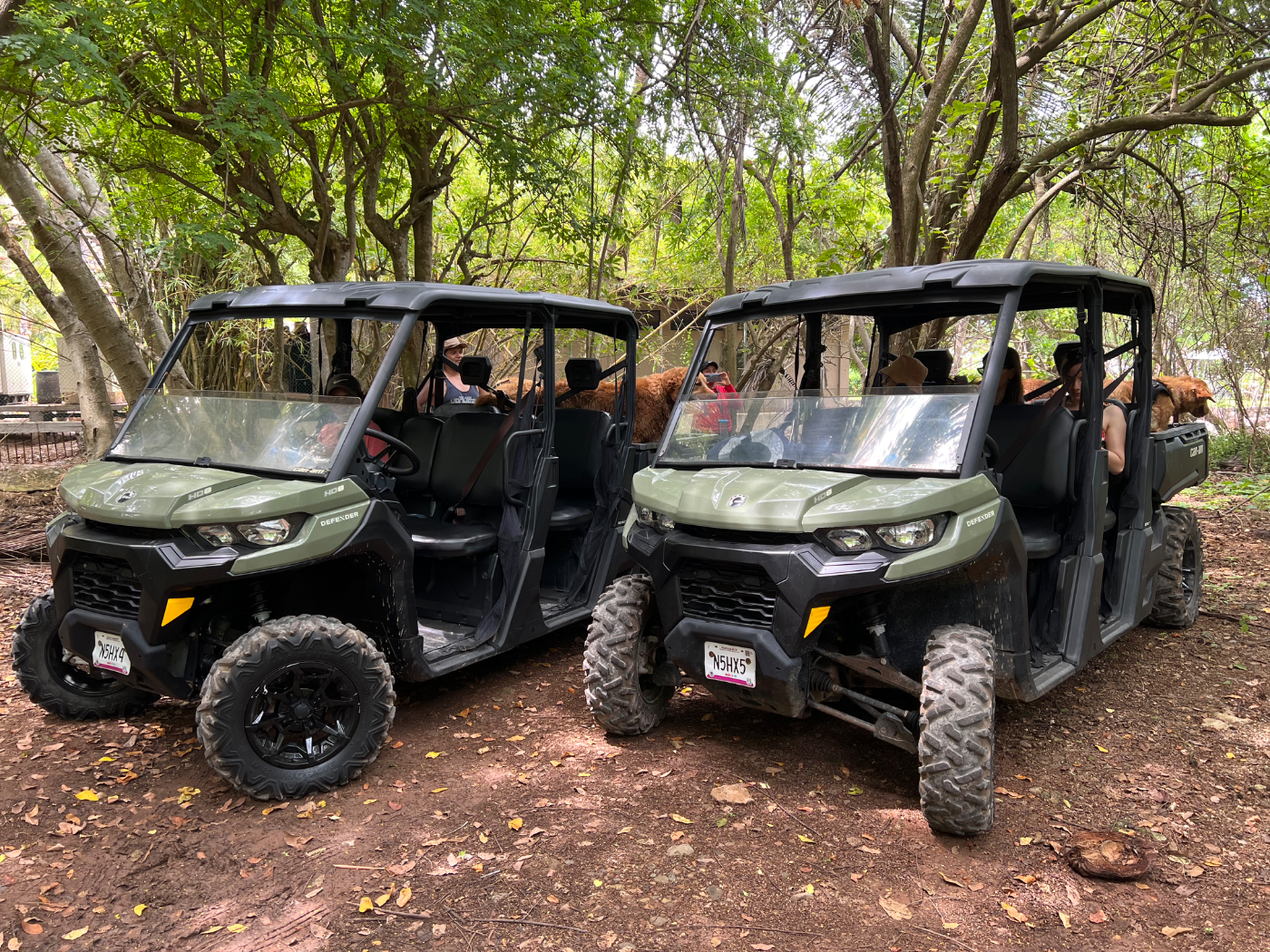 ATV Tours Chacala