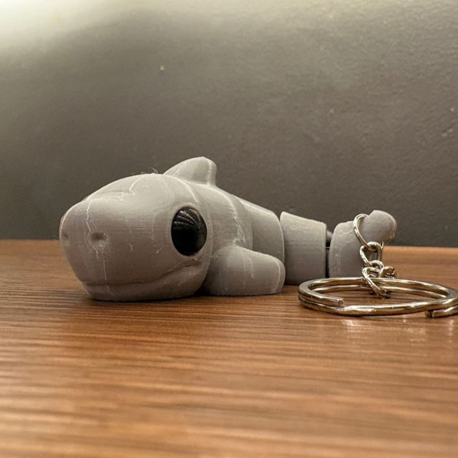 Ocean Motion Shark