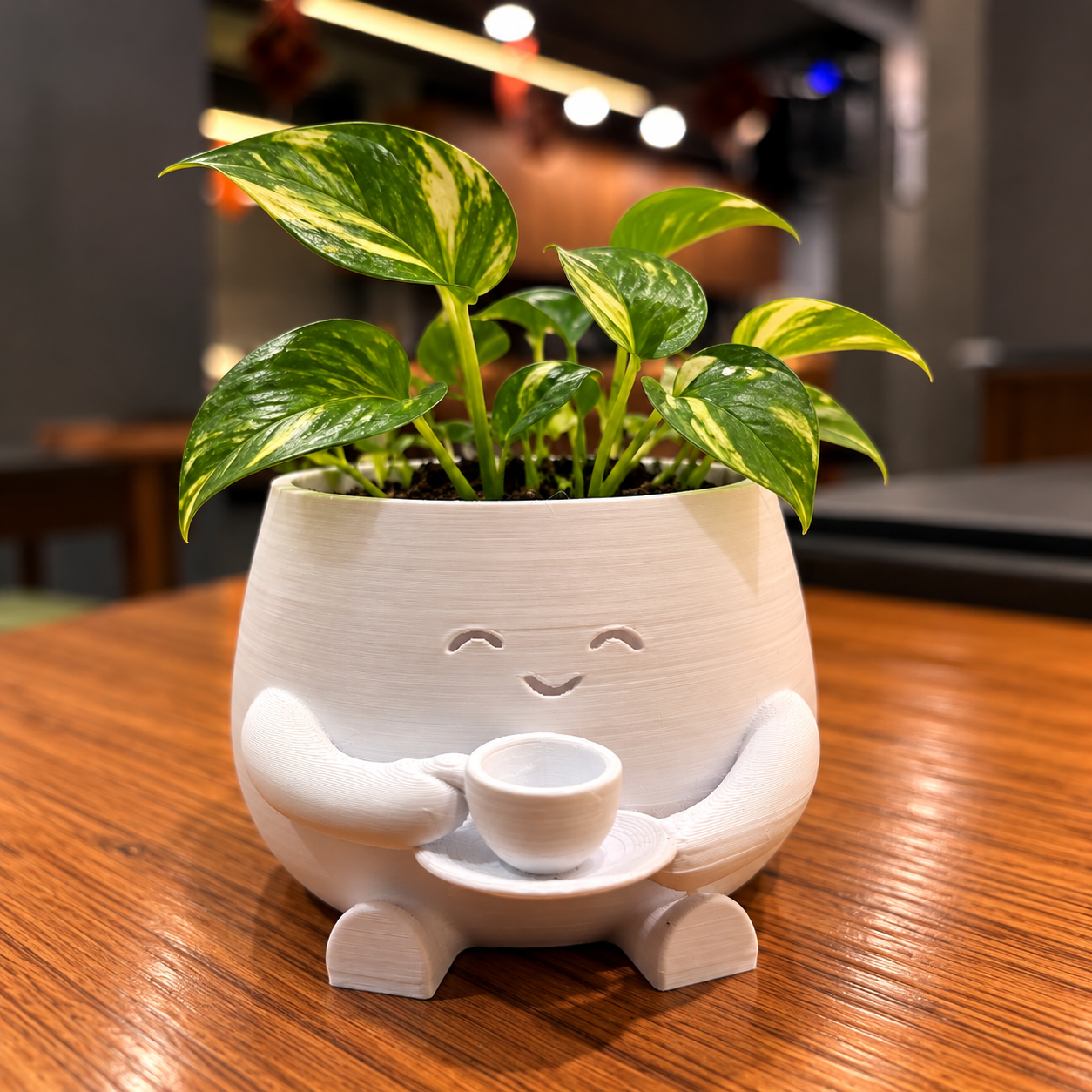 Cute Planter