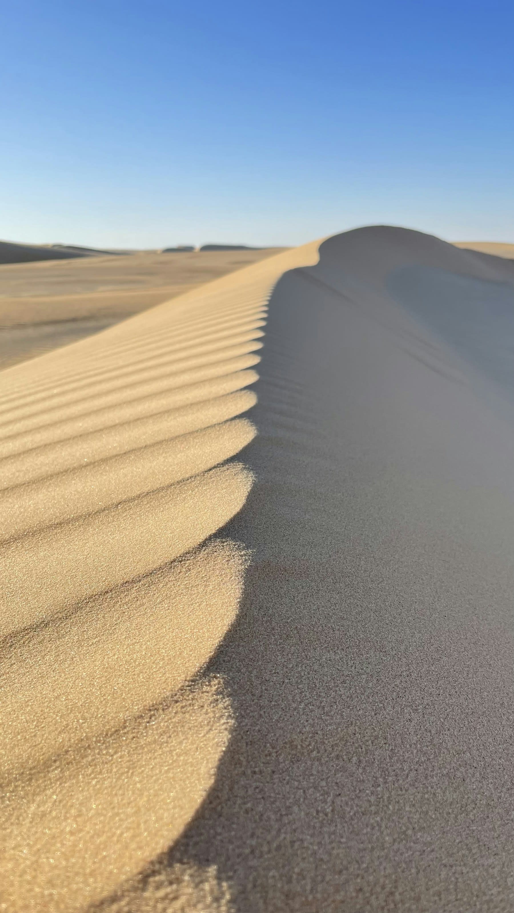Large sand dune in a desert landscape with soft light
