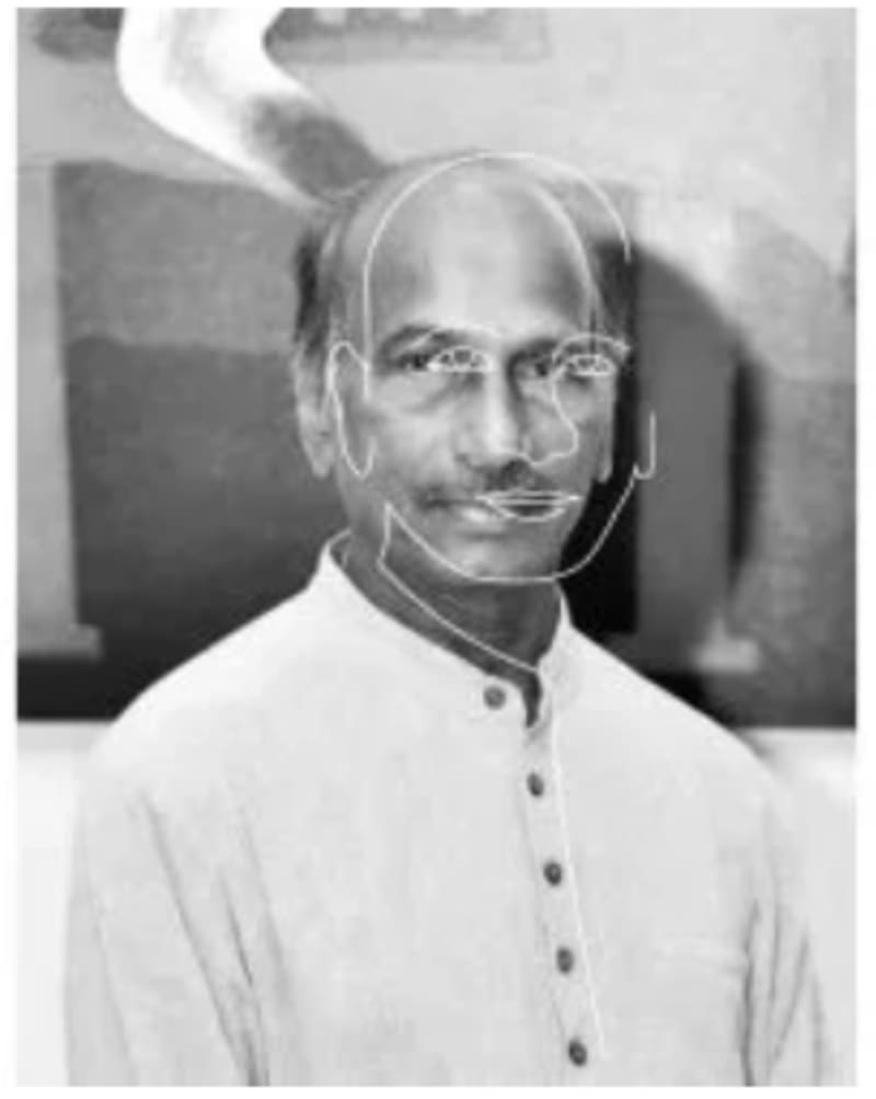 D.L.N. Reddy