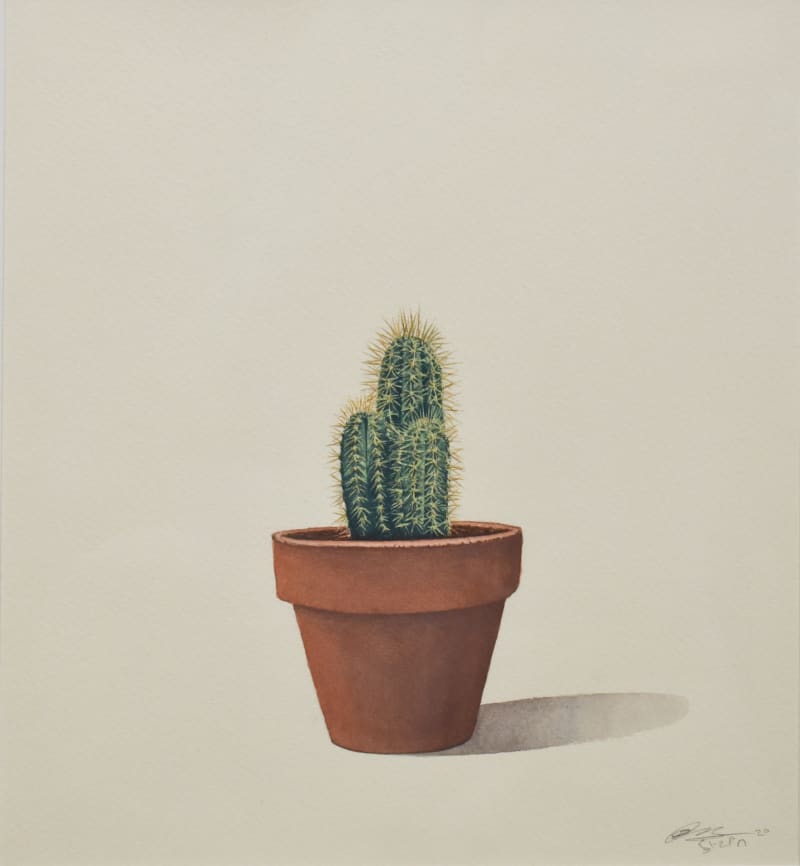 Cactus - 6