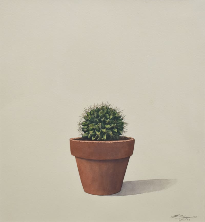Cactus - 2
