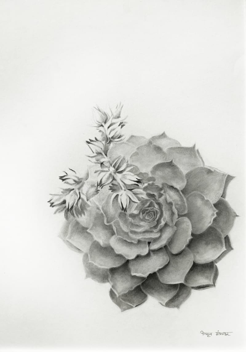 Resilient Grace- IV