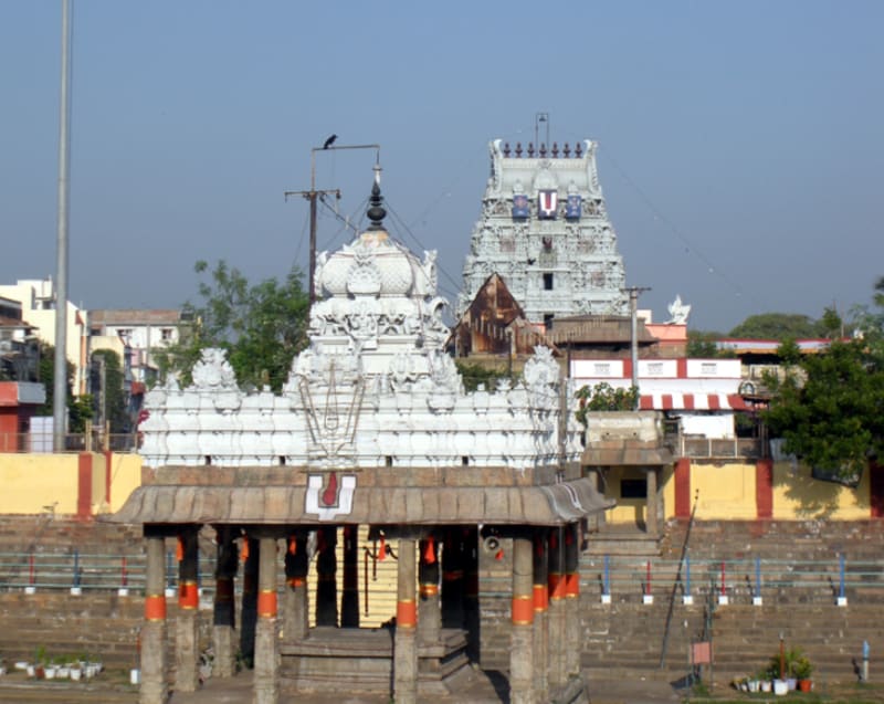 Parthasarathy Swamy Temple