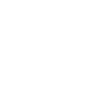 partners-white