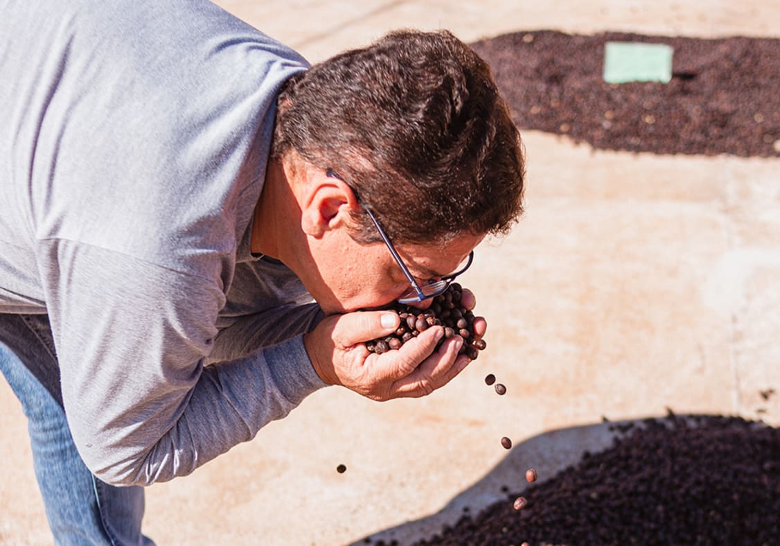 Marcus Carvalho, a micro-lot expert, in Brazil.