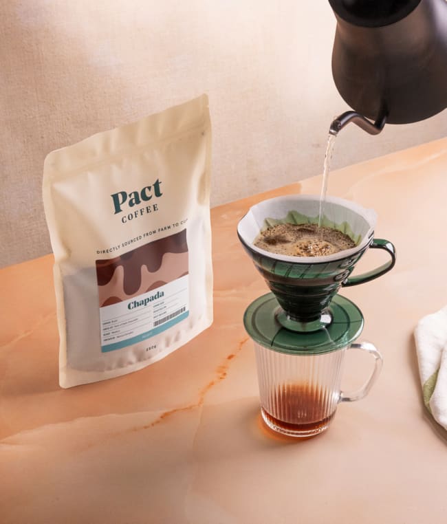 The guide to filter coffee: brewing a great cup at home
